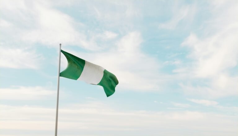 Nigeria Just Hit Pause on New Tech Regulations. Here’s Why That’s Actually Good News.
